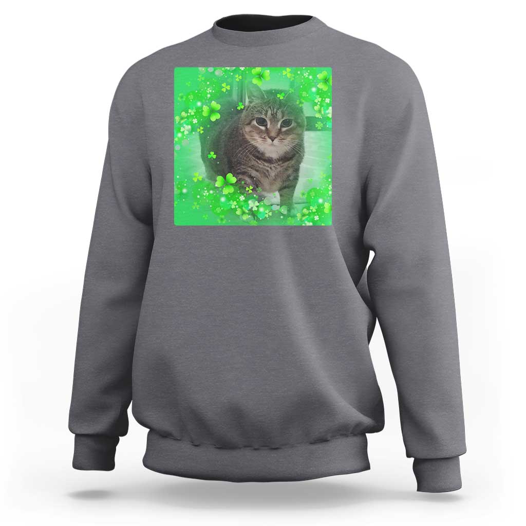 Funny Cat Meme St Patricks Day Sweatshirt Lucky Shamrock Goofy Ahh Cat