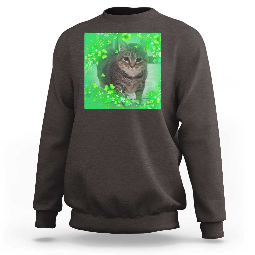 Funny Cat Meme St Patricks Day Sweatshirt Lucky Shamrock Goofy Ahh Cat