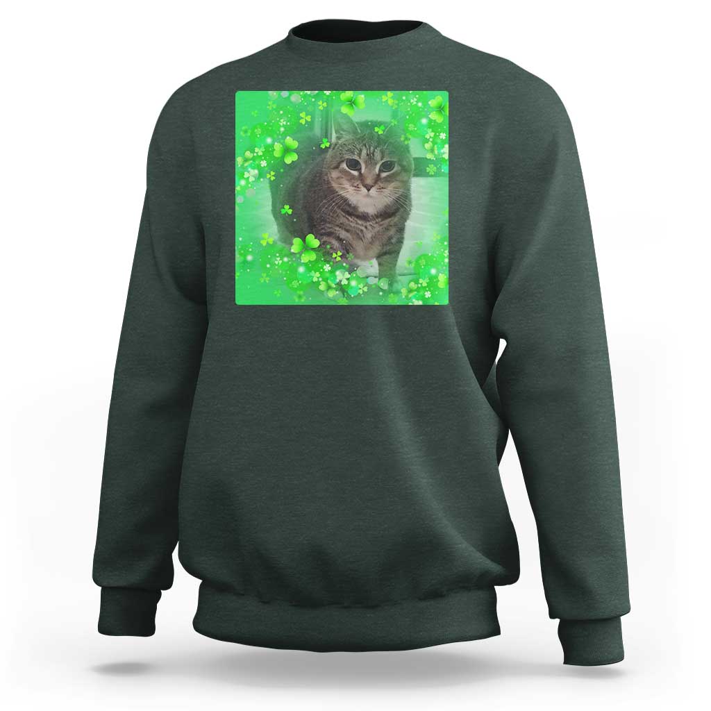 Funny Cat Meme St Patricks Day Sweatshirt Lucky Shamrock Goofy Ahh Cat