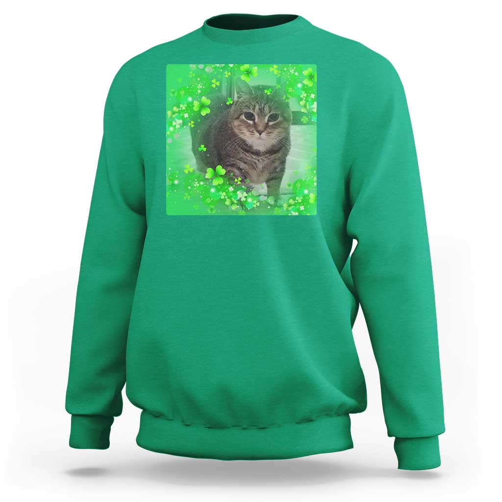 Funny Cat Meme St Patricks Day Sweatshirt Lucky Shamrock Goofy Ahh Cat