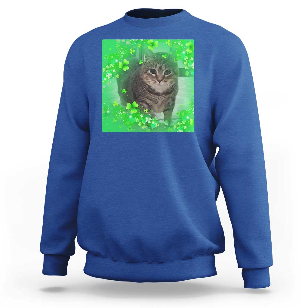 Funny Cat Meme St Patricks Day Sweatshirt Lucky Shamrock Goofy Ahh Cat