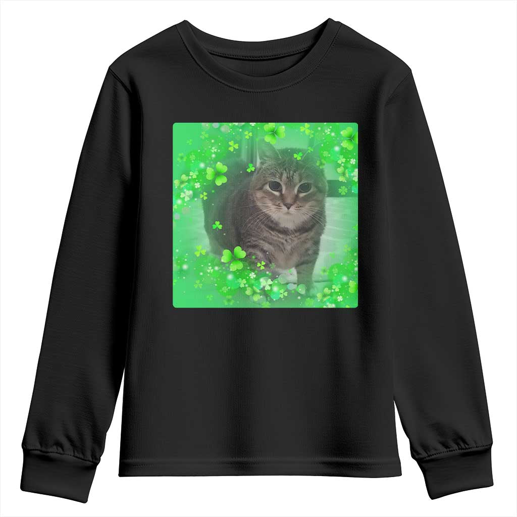 Funny Cat Meme St Patricks Day Youth Sweatshirt Lucky Shamrock Goofy Ahh Cat