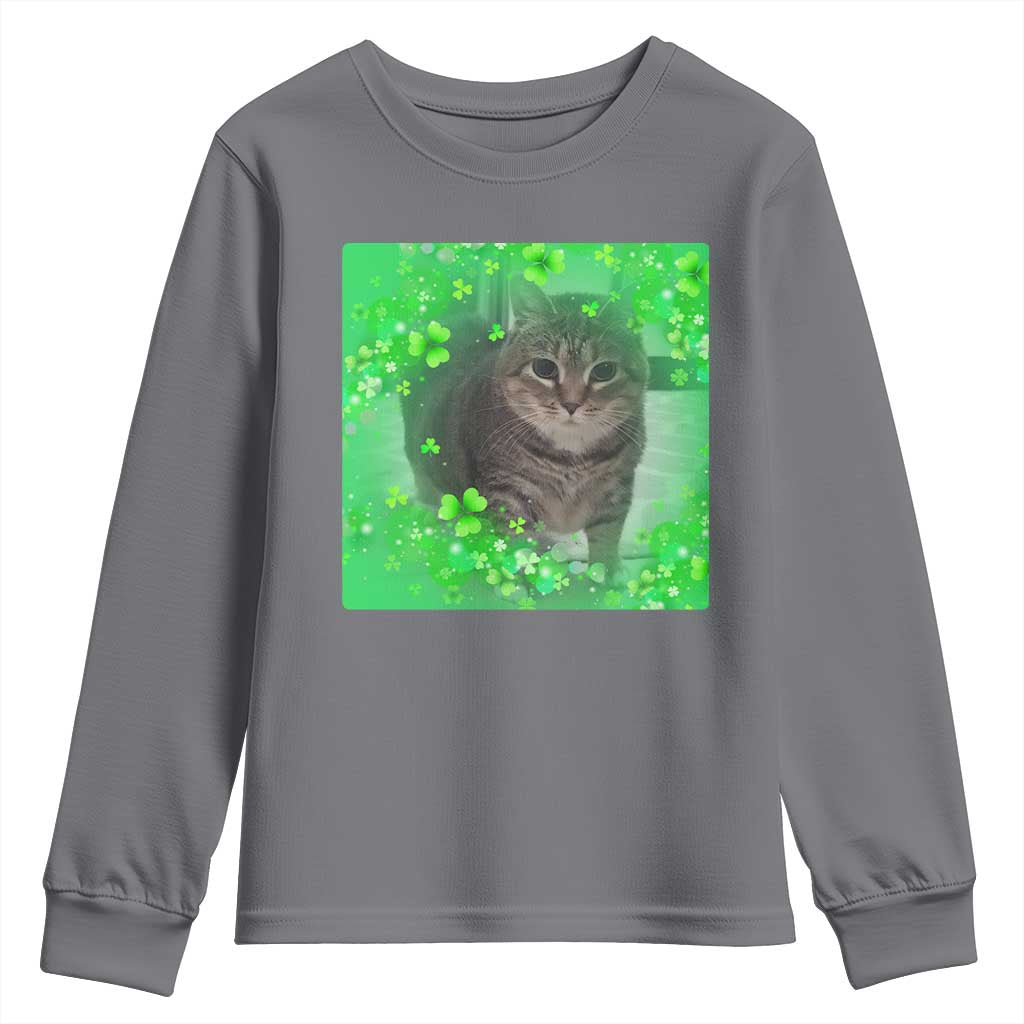 Funny Cat Meme St Patricks Day Youth Sweatshirt Lucky Shamrock Goofy Ahh Cat