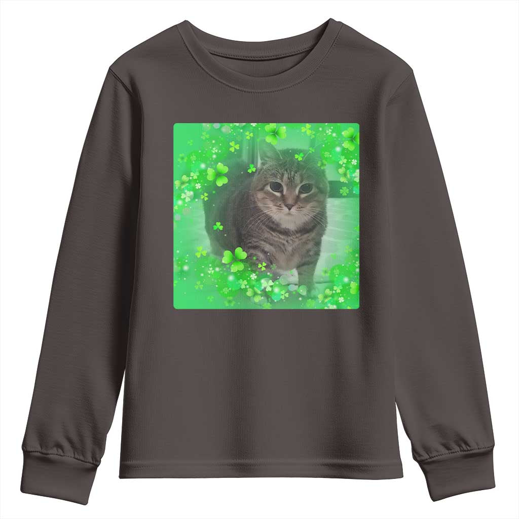 Funny Cat Meme St Patricks Day Youth Sweatshirt Lucky Shamrock Goofy Ahh Cat