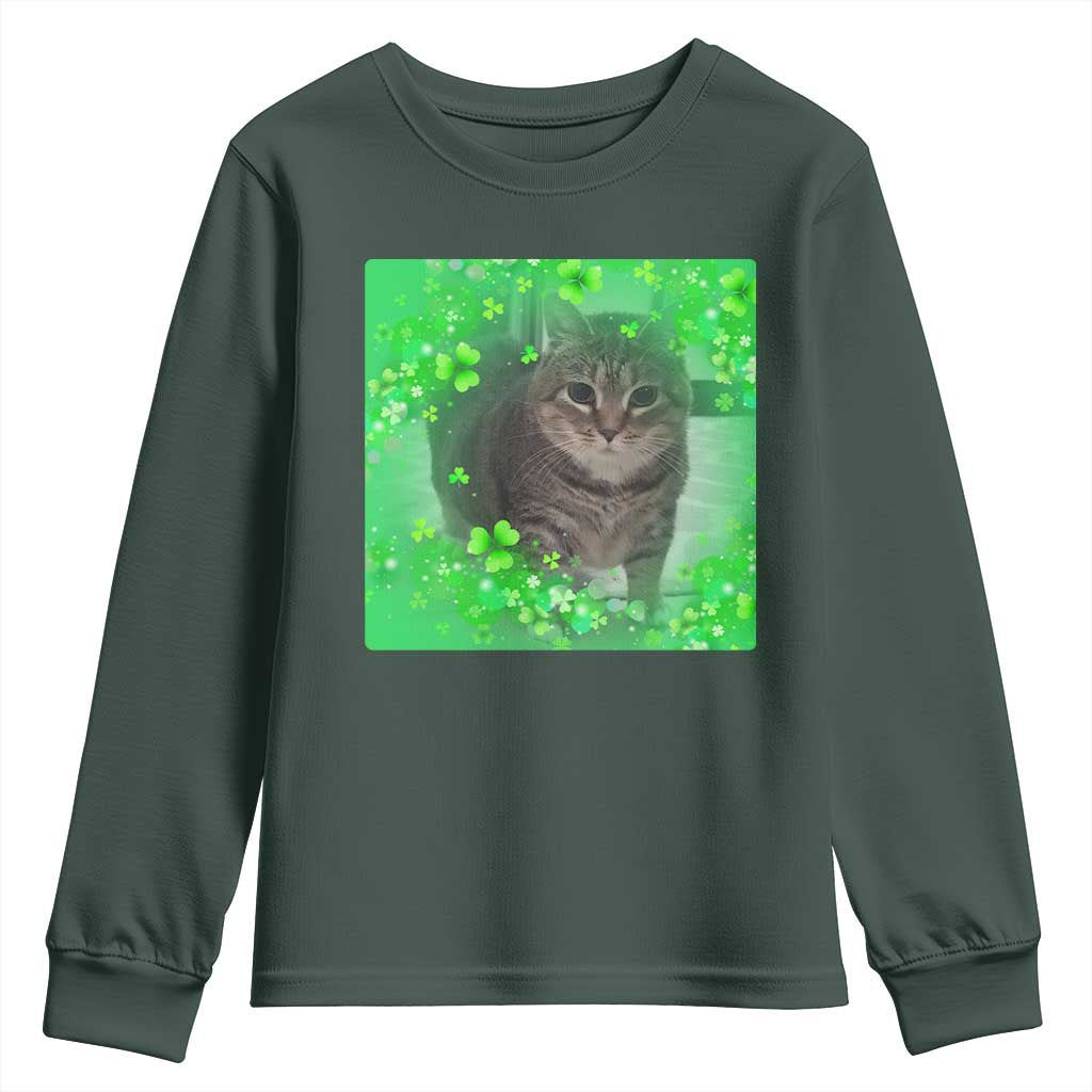 Funny Cat Meme St Patricks Day Youth Sweatshirt Lucky Shamrock Goofy Ahh Cat