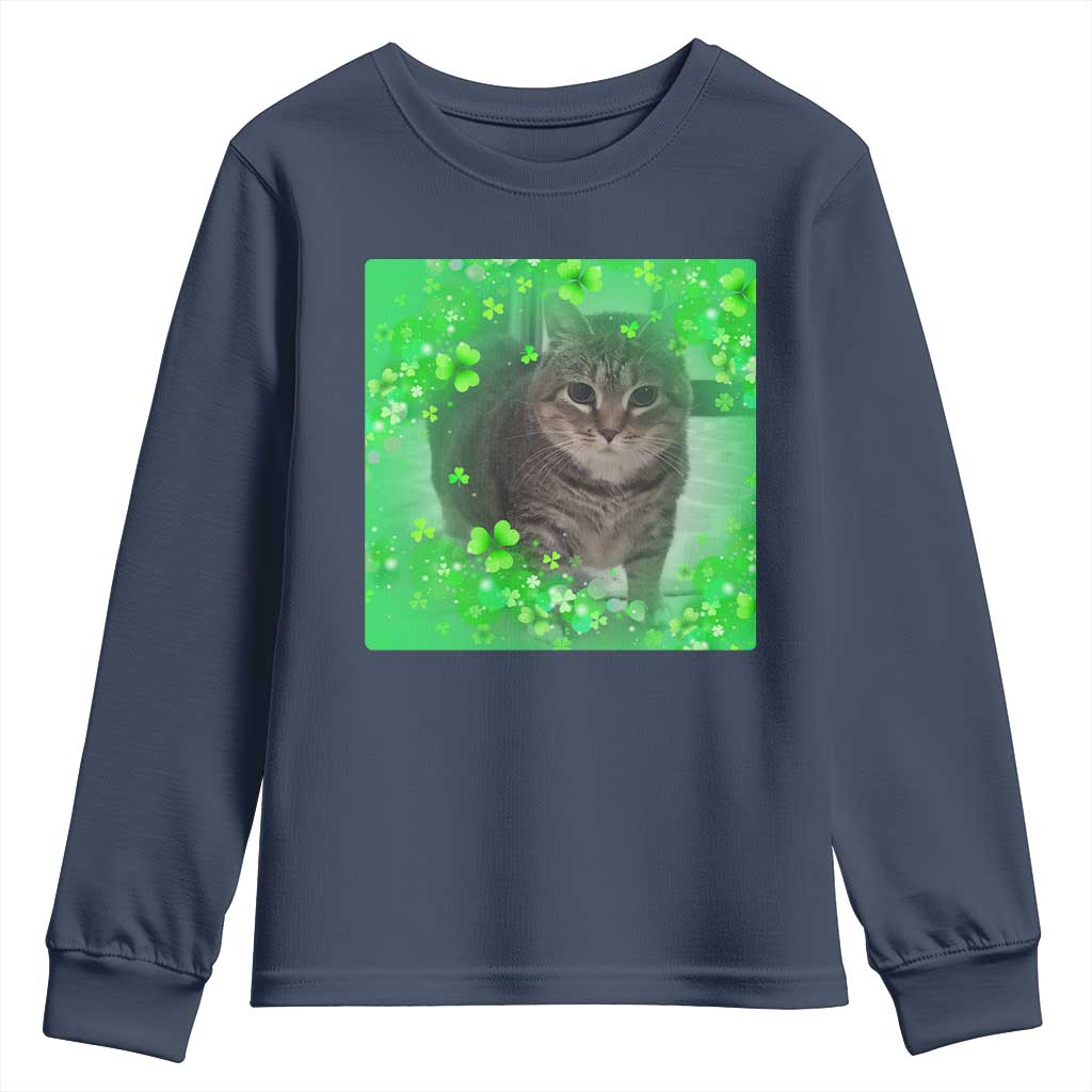 Funny Cat Meme St Patricks Day Youth Sweatshirt Lucky Shamrock Goofy Ahh Cat