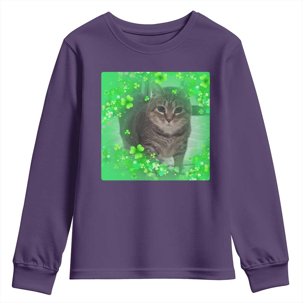 Funny Cat Meme St Patricks Day Youth Sweatshirt Lucky Shamrock Goofy Ahh Cat