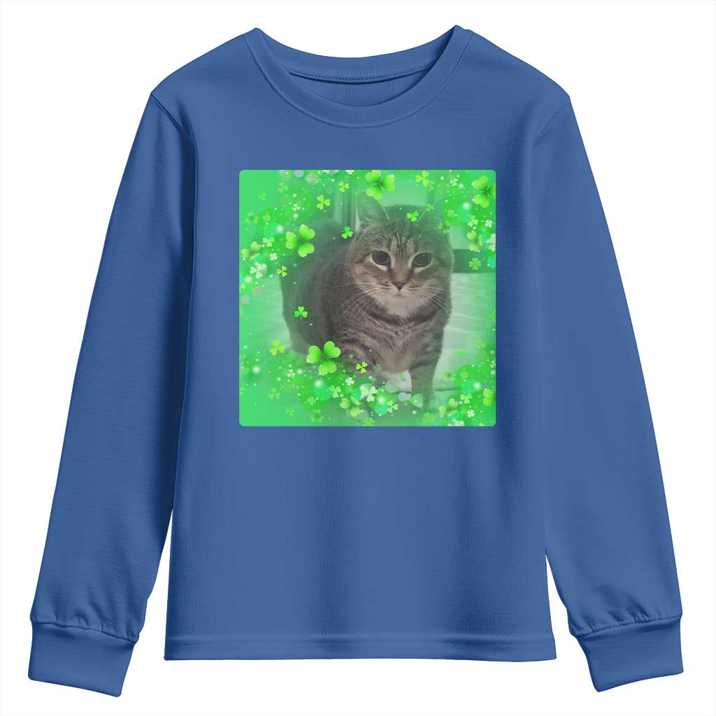Funny Cat Meme St Patricks Day Youth Sweatshirt Lucky Shamrock Goofy Ahh Cat