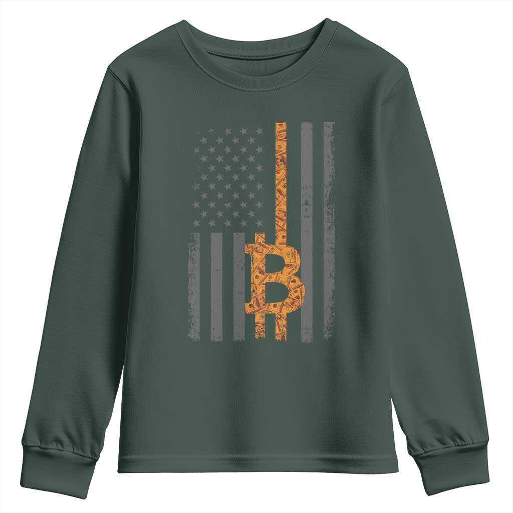 BTC Bitcoin American Flag Youth Sweatshirt Crypto Buy the Dip