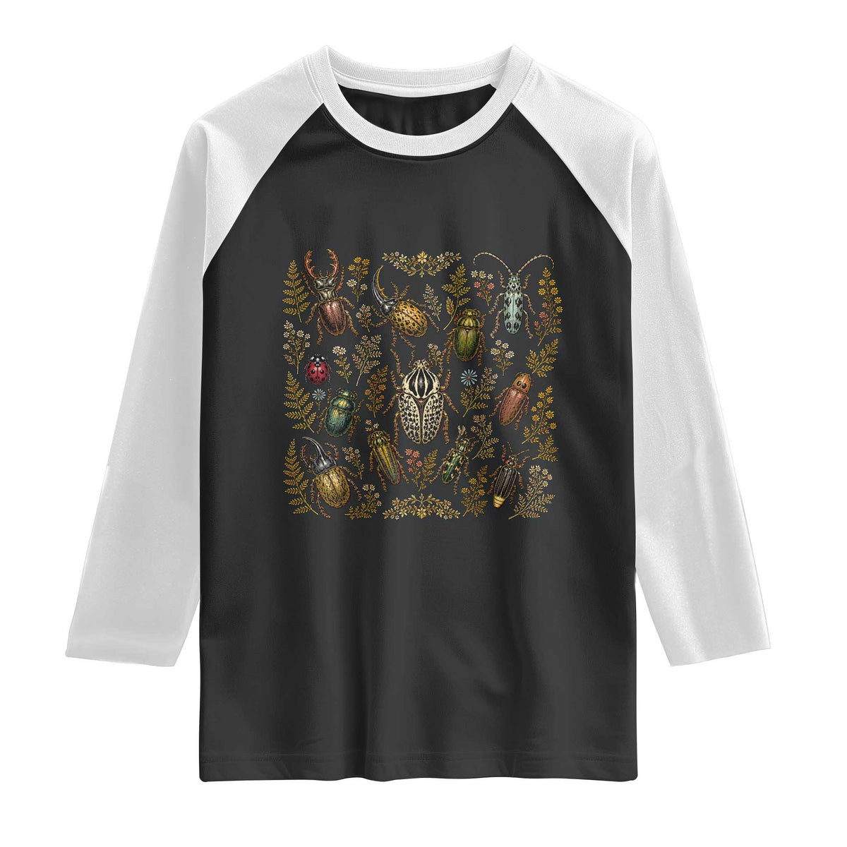 Insect Bug Collection Collector Entomologist Entomology Raglan Shirt