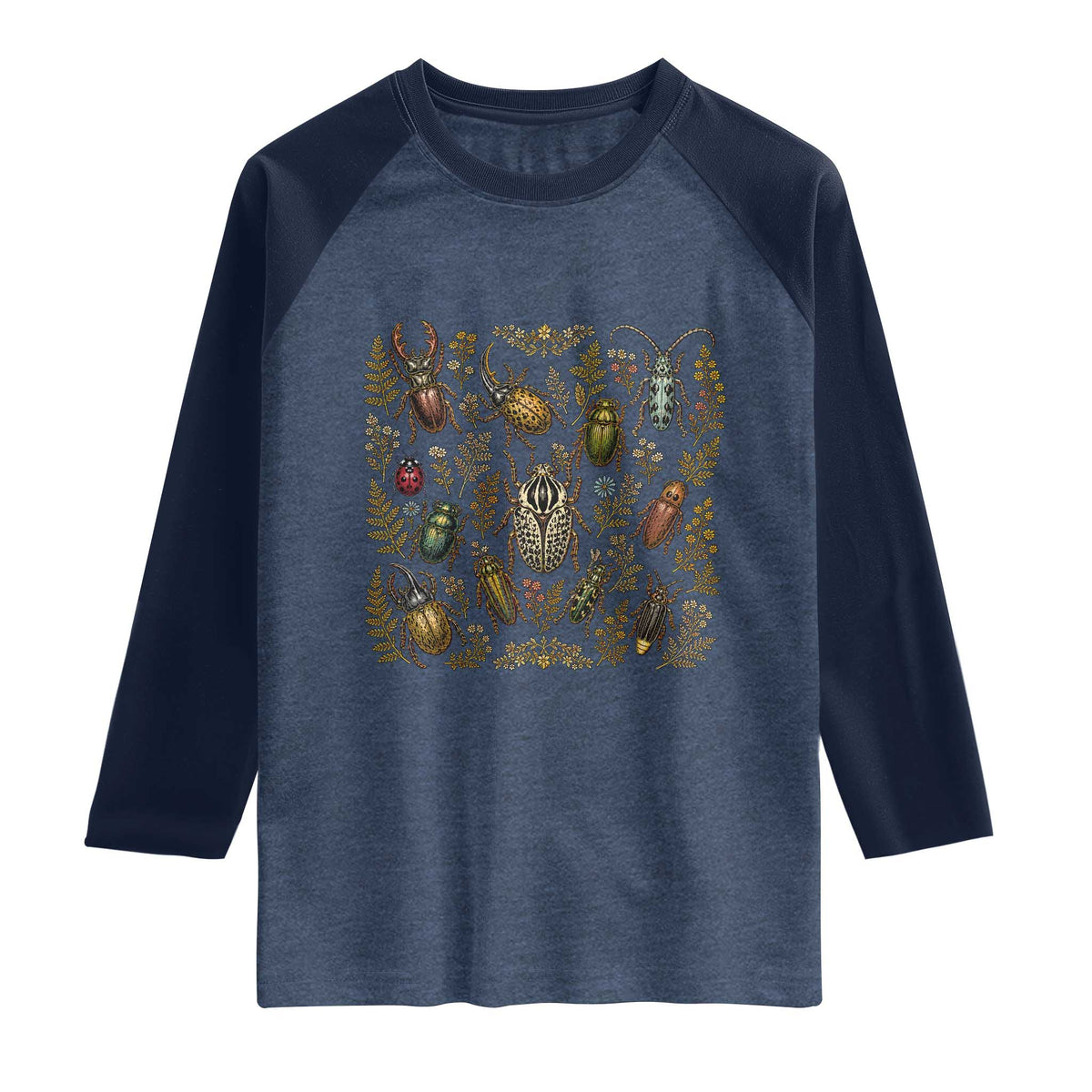 Insect Bug Collection Collector Entomologist Entomology Raglan Shirt