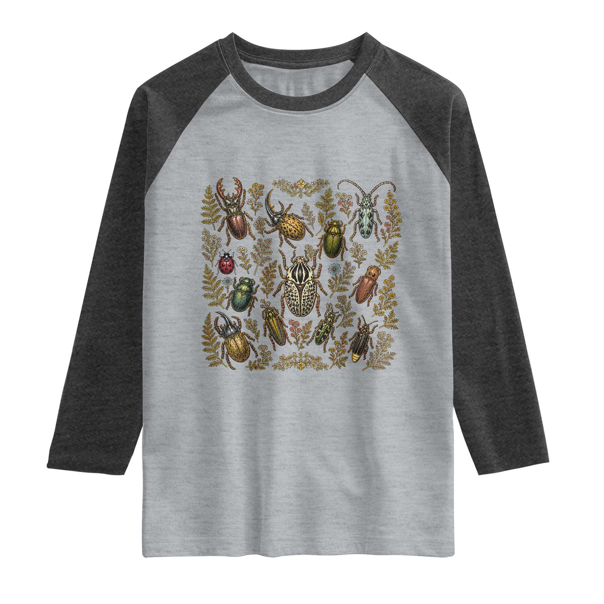Insect Bug Collection Collector Entomologist Entomology Raglan Shirt