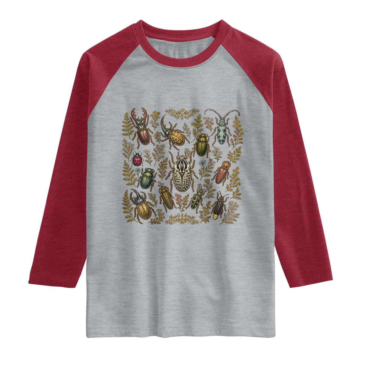 Insect Bug Collection Collector Entomologist Entomology Raglan Shirt