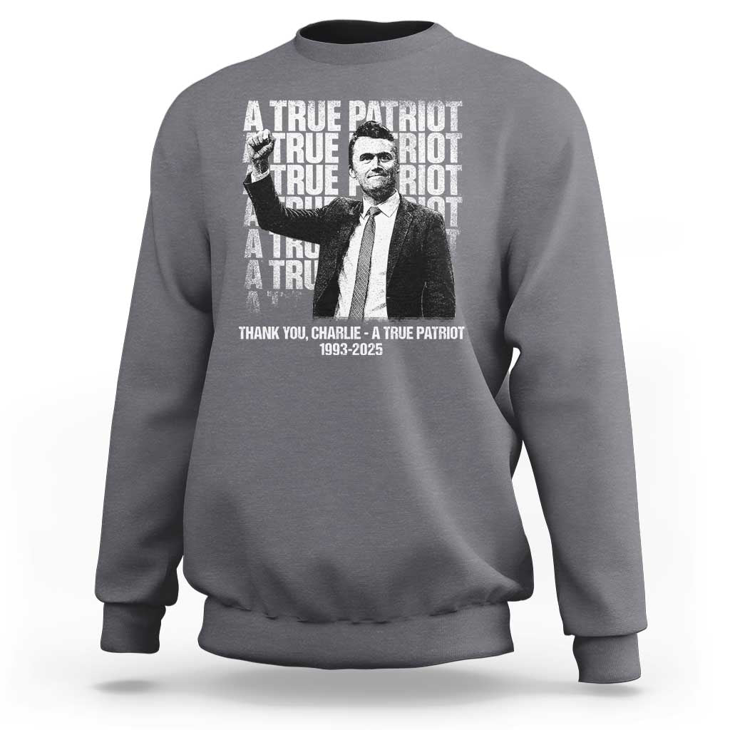 Charlie Kirk Freedom Sweatshirt Vintage A True Patriot Patriotic American - Wonder Print Shop