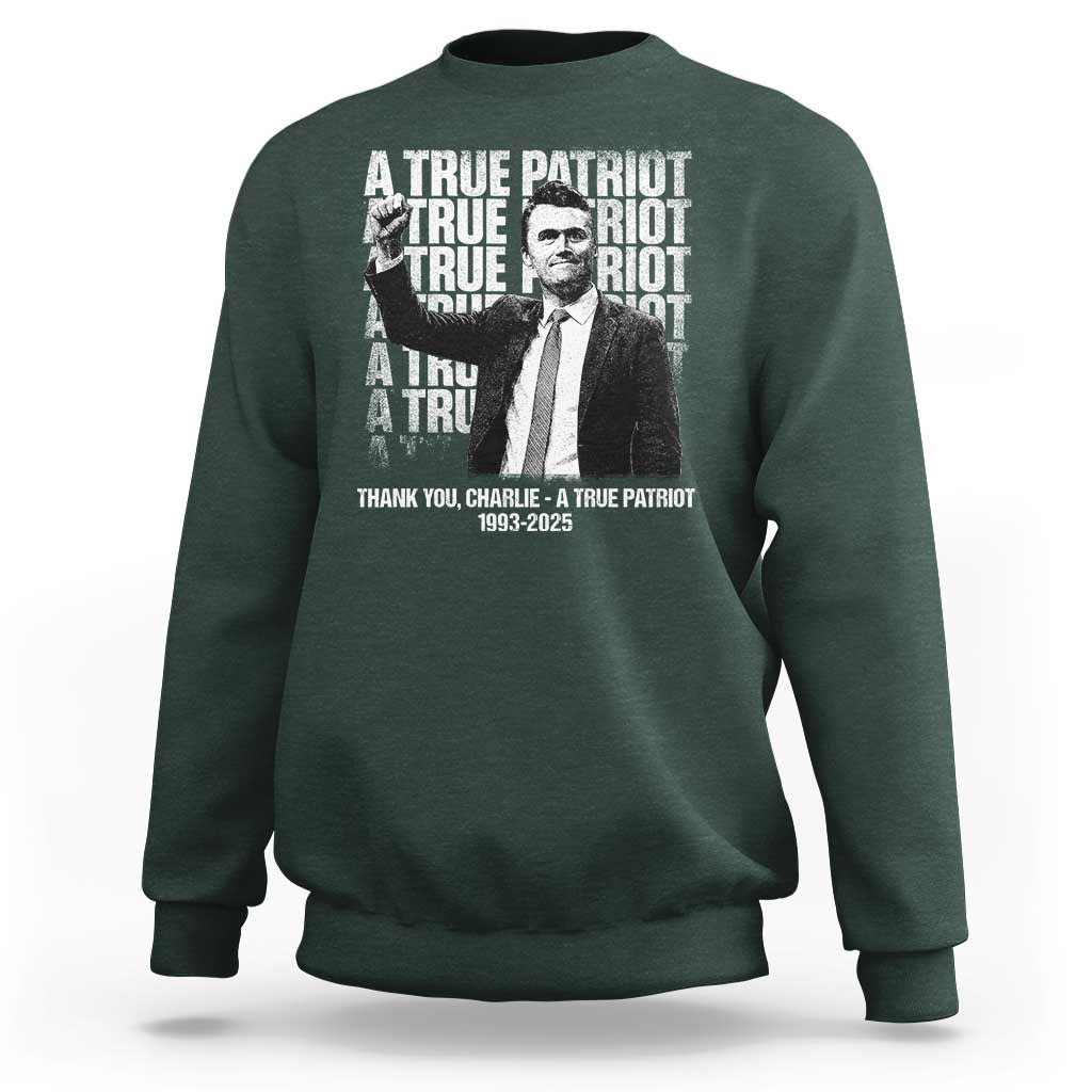 Charlie Kirk Freedom Sweatshirt Vintage A True Patriot Patriotic American - Wonder Print Shop