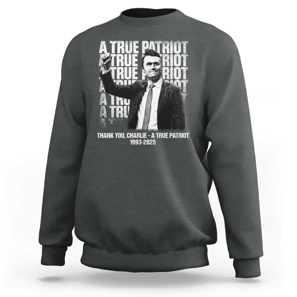 Charlie Kirk Freedom Sweatshirt Vintage A True Patriot Patriotic American - Wonder Print Shop