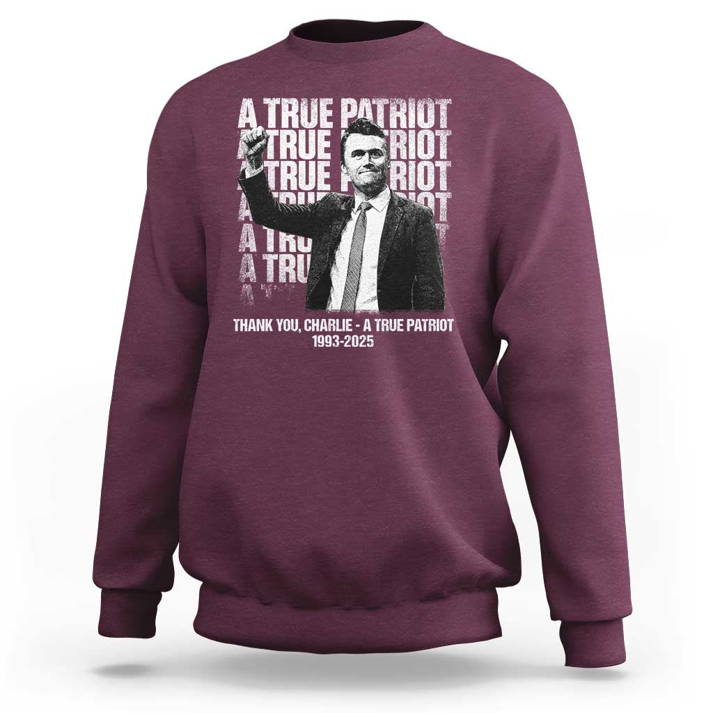 Charlie Kirk Freedom Sweatshirt Vintage A True Patriot Patriotic American - Wonder Print Shop