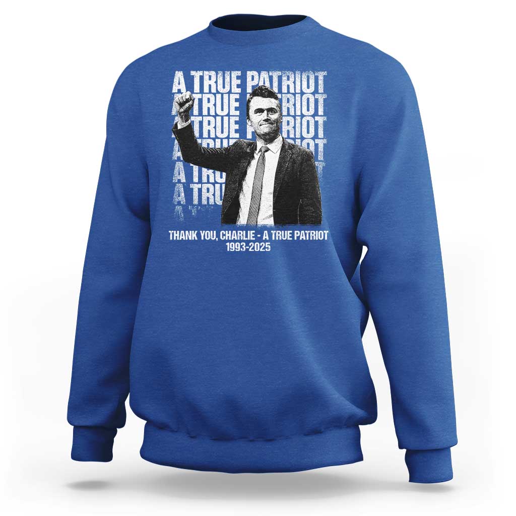 Charlie Kirk Freedom Sweatshirt Vintage A True Patriot Patriotic American - Wonder Print Shop