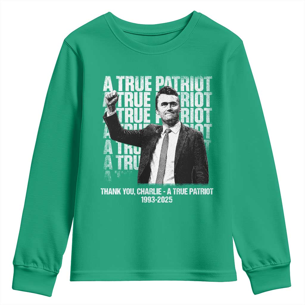 Charlie Kirk Freedom Youth Sweatshirt Vintage A True Patriot Patriotic American - Wonder Print Shop
