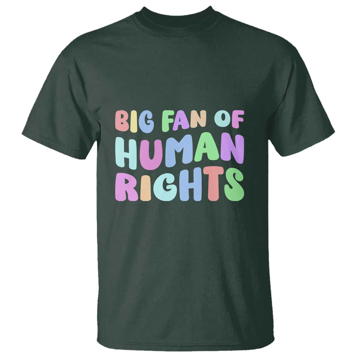 Big Fan Of Human Rights T Shirt Social Justice Equality Activist - Wonder Print Shop