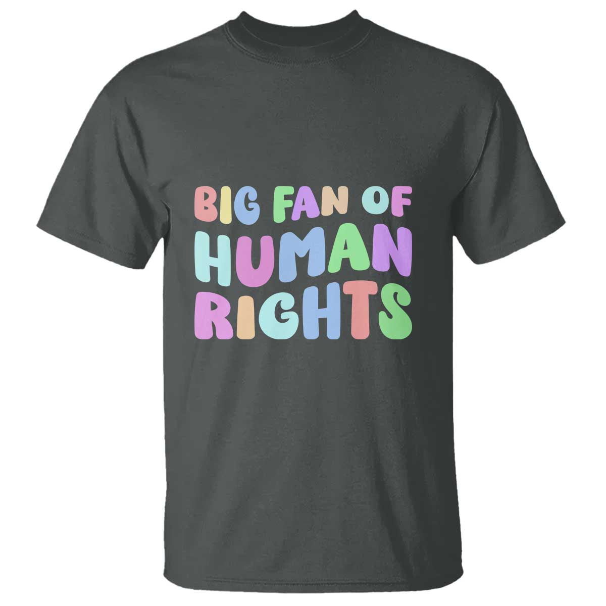 Big Fan Of Human Rights T Shirt Social Justice Equality Activist - Wonder Print Shop