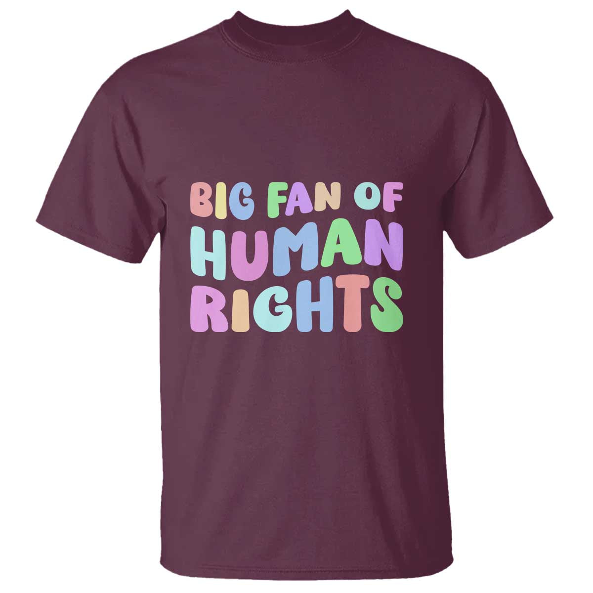 Big Fan Of Human Rights T Shirt Social Justice Equality Activist - Wonder Print Shop