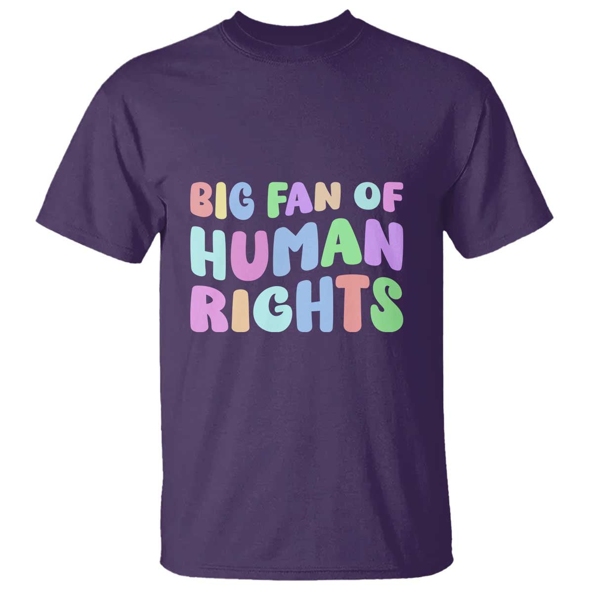 Big Fan Of Human Rights T Shirt Social Justice Equality Activist - Wonder Print Shop