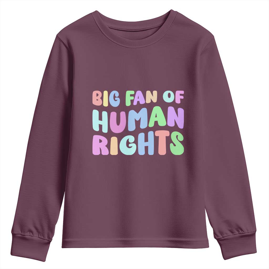 Big Fan Of Human Rights Youth Sweatshirt Social Justice Equality Activist - Wonder Print Shop
