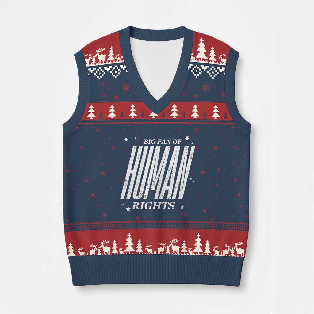 Big Fan Of Human Rights V-Neck Knit Sweater Vest Equality Activist - Wonder Print Shop