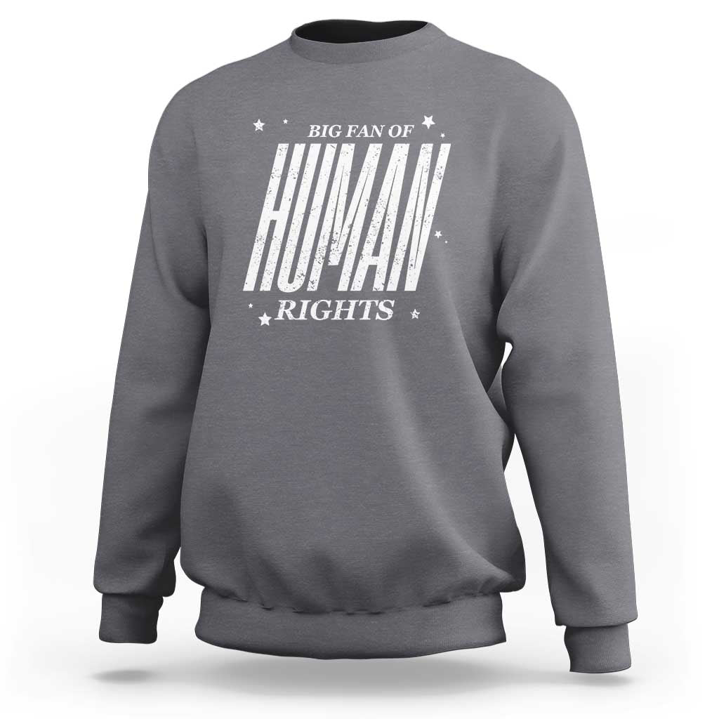 Big Fan Of Human Rights Sweatshirt Equality Activist - Wonder Print Shop