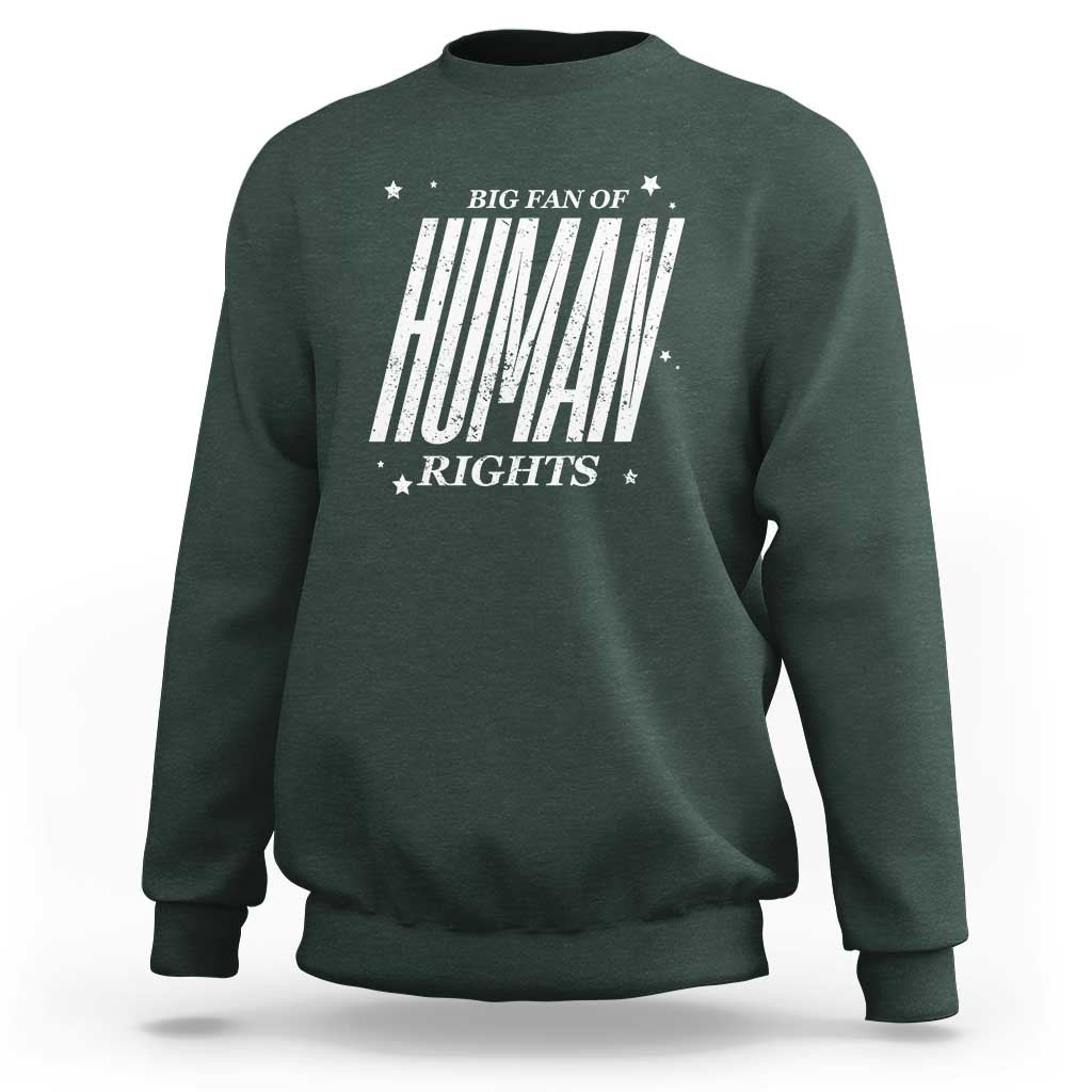 Big Fan Of Human Rights Sweatshirt Equality Activist - Wonder Print Shop