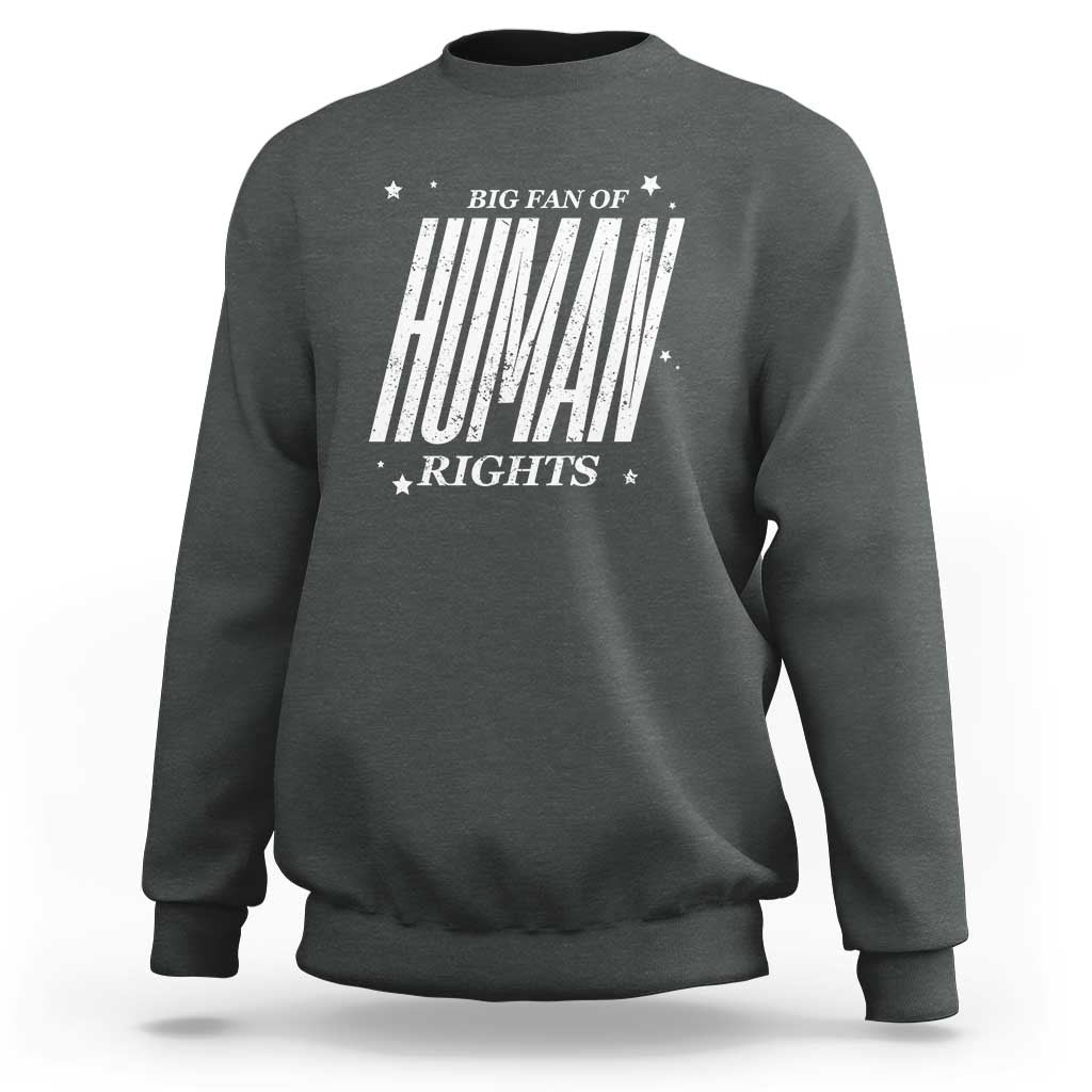Big Fan Of Human Rights Sweatshirt Equality Activist - Wonder Print Shop