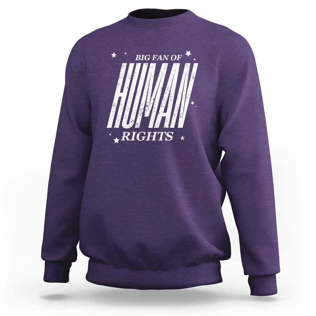 Big Fan Of Human Rights Sweatshirt Equality Activist - Wonder Print Shop
