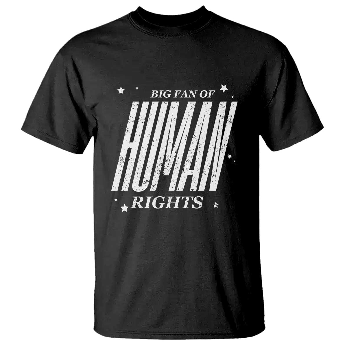 Big Fan Of Human Rights T Shirt Equality Activist - Wonder Print Shop