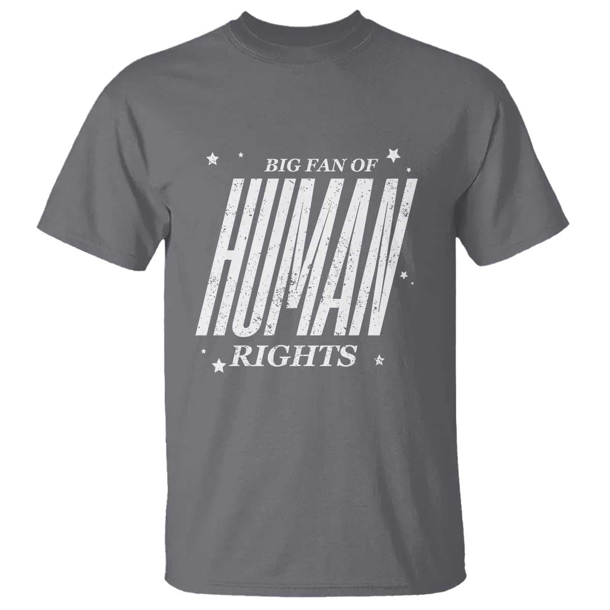 Big Fan Of Human Rights T Shirt Equality Activist - Wonder Print Shop