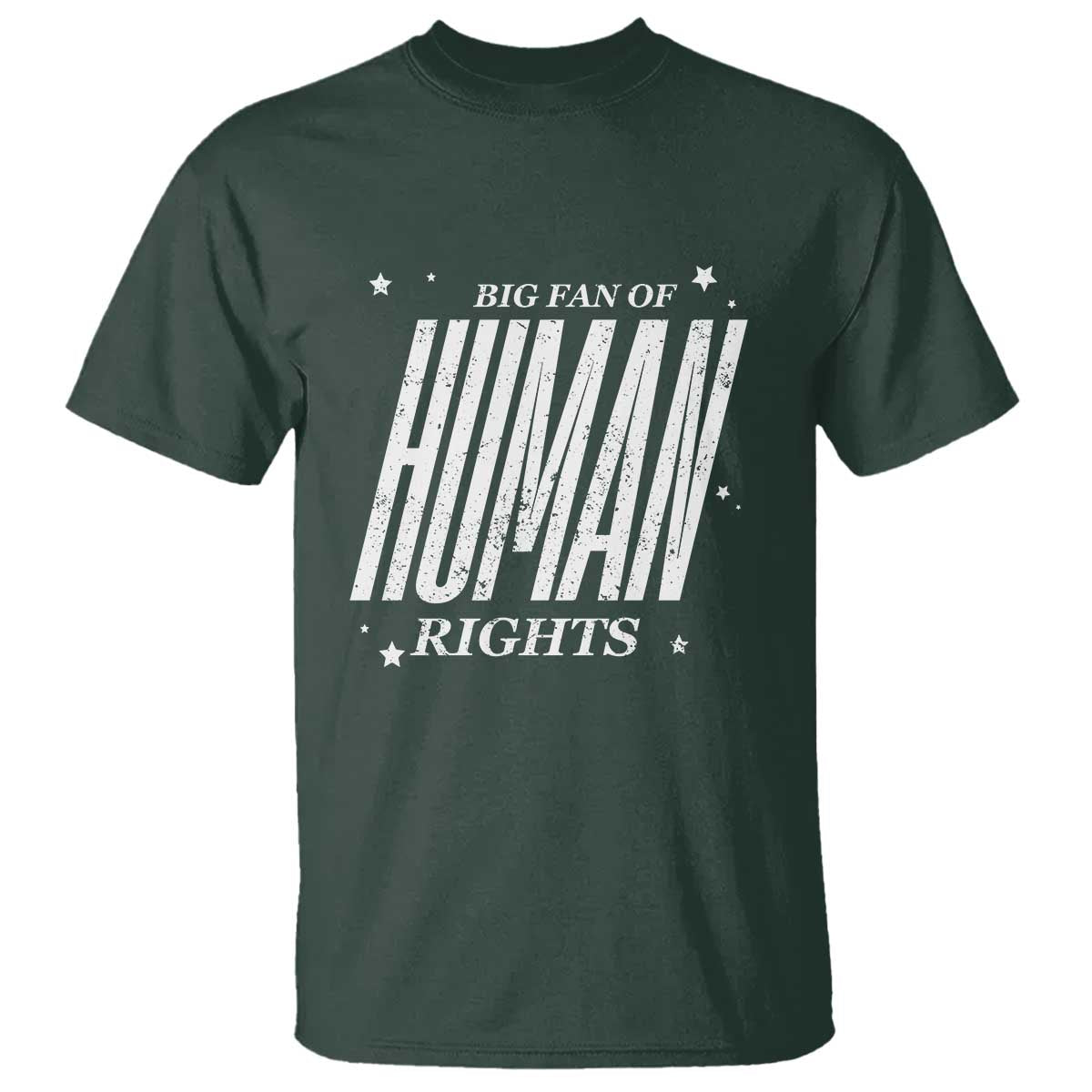 Big Fan Of Human Rights T Shirt Equality Activist - Wonder Print Shop