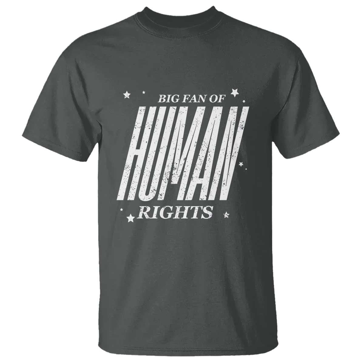 Big Fan Of Human Rights T Shirt Equality Activist - Wonder Print Shop