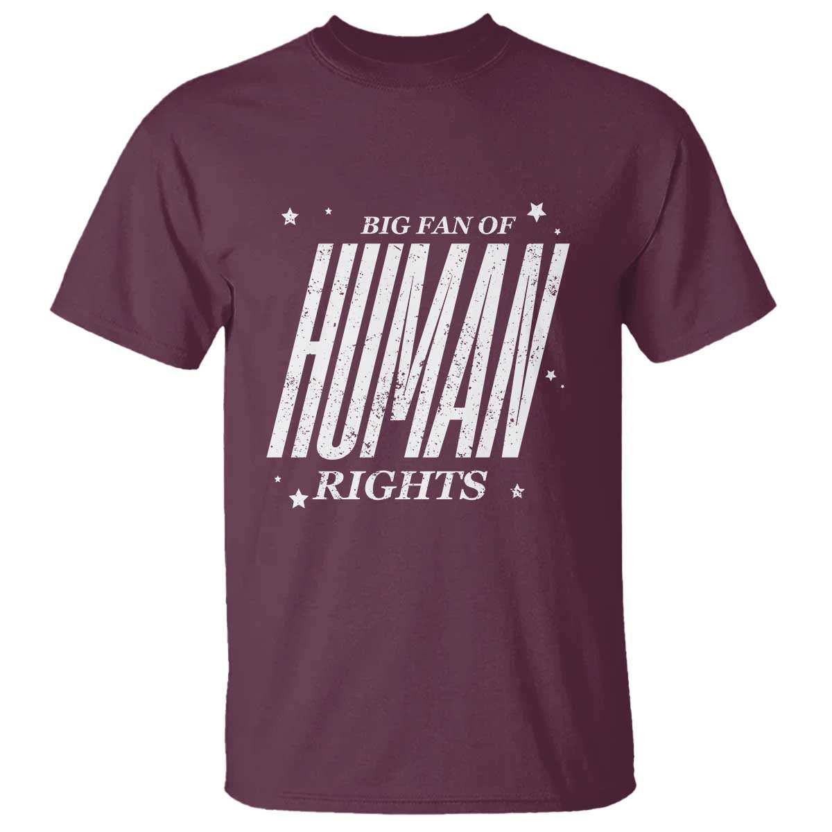 Big Fan Of Human Rights T Shirt Equality Activist - Wonder Print Shop