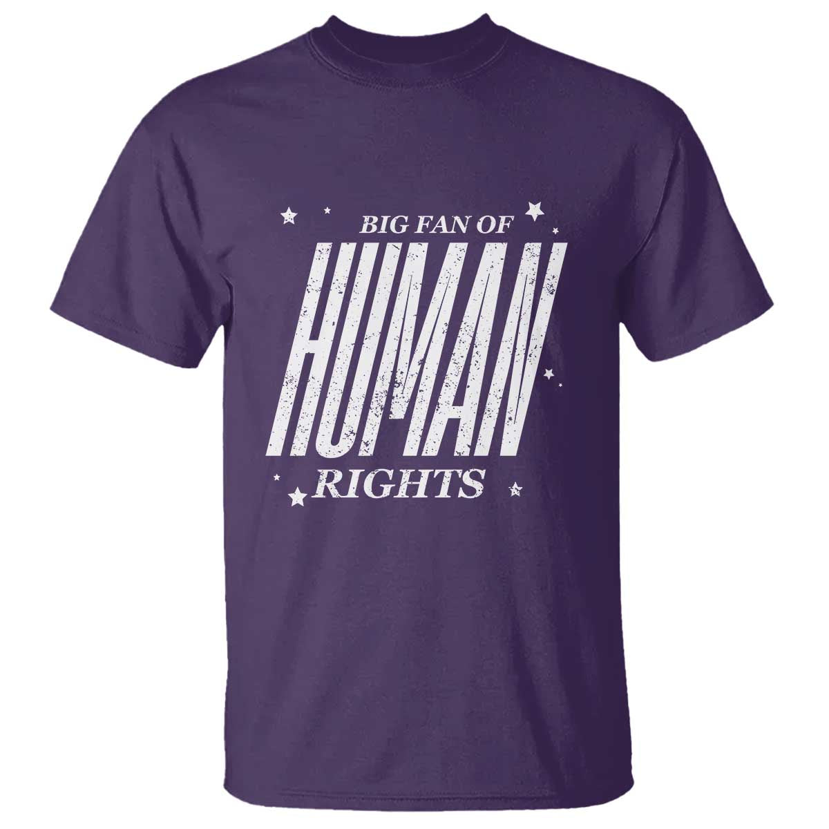 Big Fan Of Human Rights T Shirt Equality Activist - Wonder Print Shop