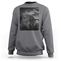 Funny Graphic Capybara Selfie with UFOs Weird Sweatshirt - Wonder Print Shop