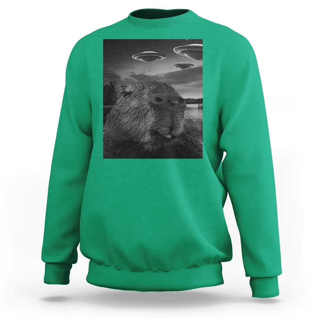 Funny Graphic Capybara Selfie with UFOs Weird Sweatshirt - Wonder Print Shop