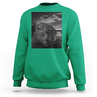 Funny Graphic Capybara Selfie with UFOs Weird Sweatshirt - Wonder Print Shop