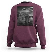 Funny Graphic Capybara Selfie with UFOs Weird Sweatshirt - Wonder Print Shop