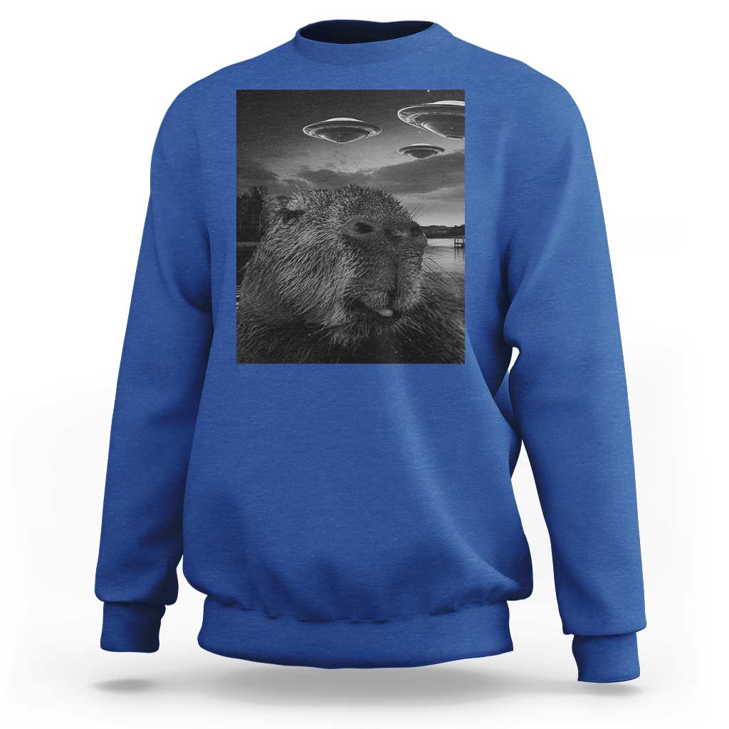 Funny Graphic Capybara Selfie with UFOs Weird Sweatshirt - Wonder Print Shop
