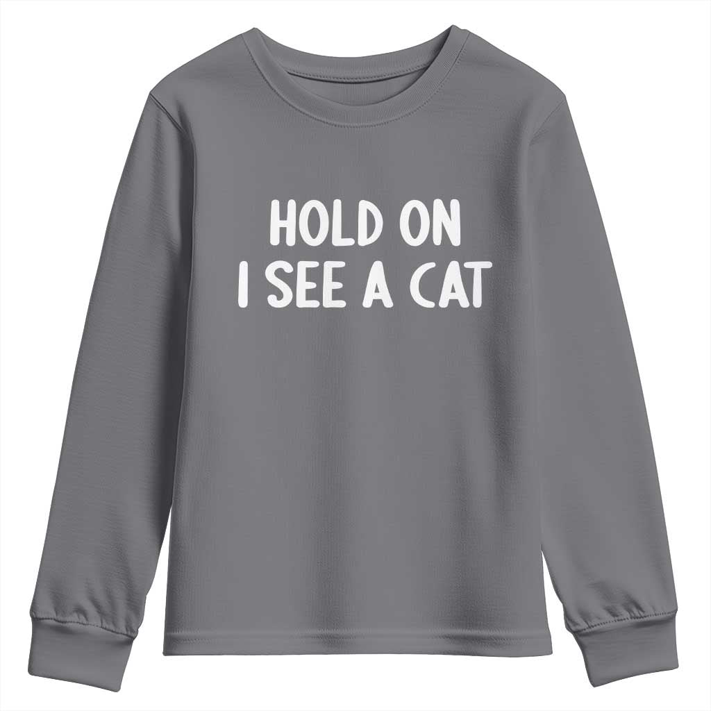 Hold On I See A Cat Youth Sweatshirt Funny Pet Parent Humor Cat Person - Wonder Print Shop
