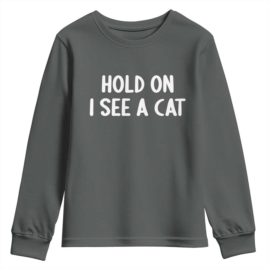 Hold On I See A Cat Youth Sweatshirt Funny Pet Parent Humor Cat Person - Wonder Print Shop