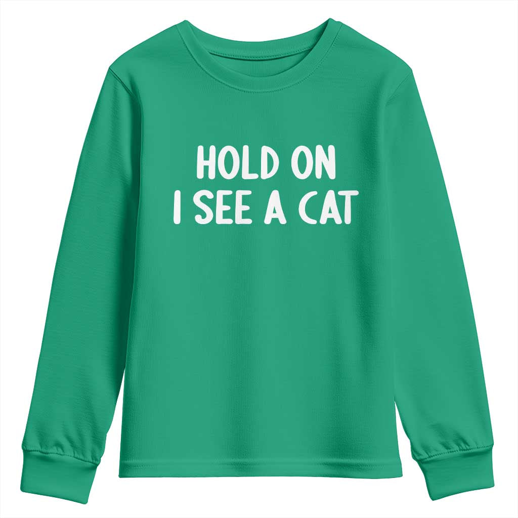 Hold On I See A Cat Youth Sweatshirt Funny Pet Parent Humor Cat Person - Wonder Print Shop