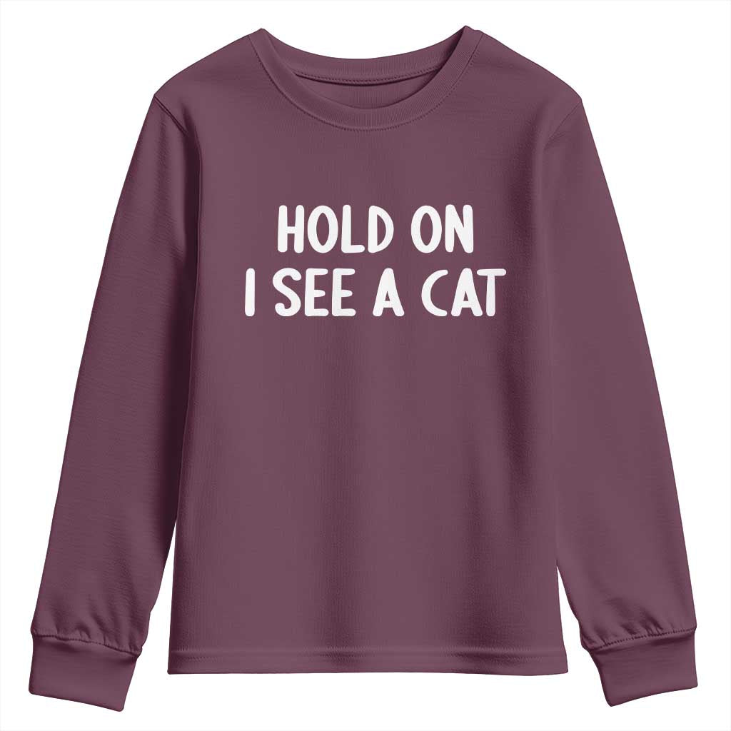 Hold On I See A Cat Youth Sweatshirt Funny Pet Parent Humor Cat Person - Wonder Print Shop
