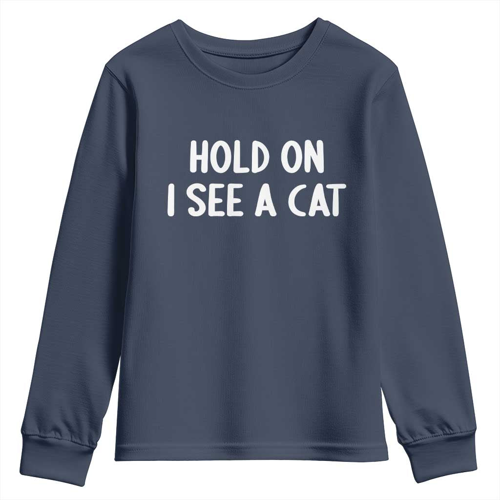Hold On I See A Cat Youth Sweatshirt Funny Pet Parent Humor Cat Person - Wonder Print Shop