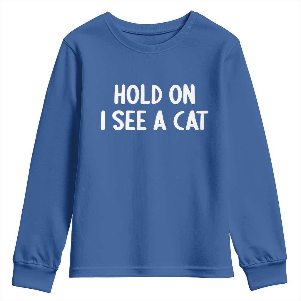 Hold On I See A Cat Youth Sweatshirt Funny Pet Parent Humor Cat Person - Wonder Print Shop